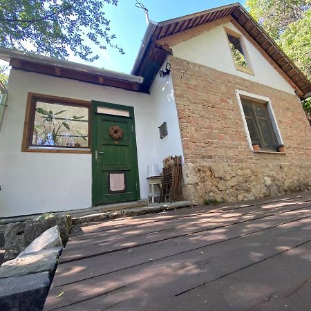 Rustic Cottage & Garden Retreat On Buda Hilltop Budapest Exteriör bild