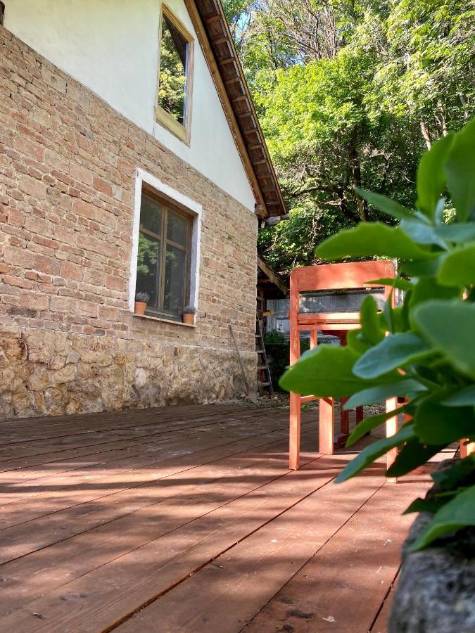 Rustic Cottage & Garden Retreat On Buda Hilltop Budapest Exteriör bild