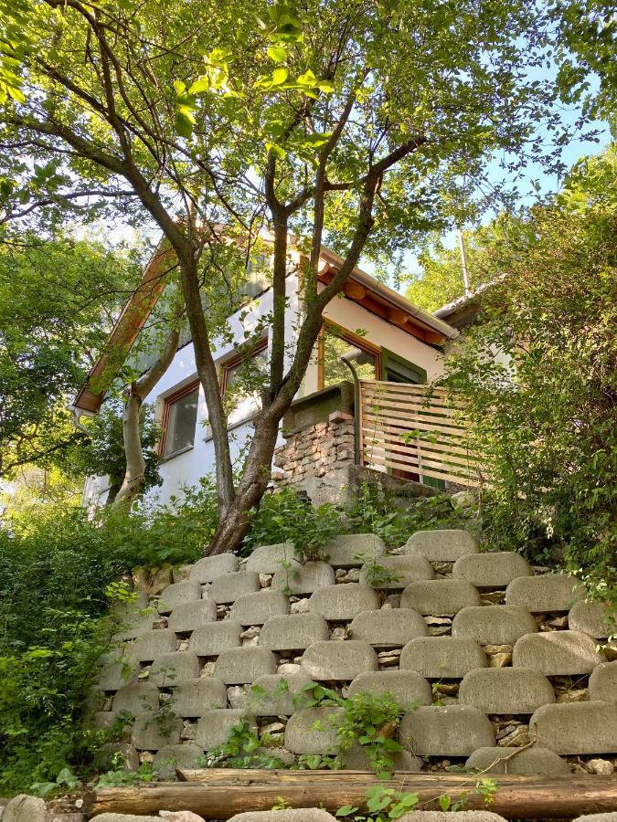 Rustic Cottage & Garden Retreat On Buda Hilltop Budapest Exteriör bild