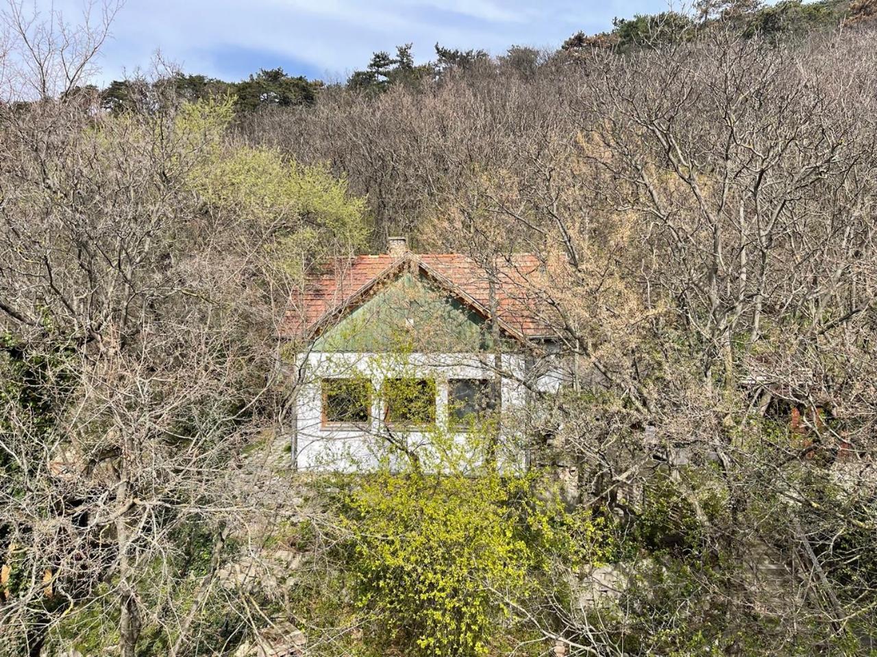 Rustic Cottage & Garden Retreat On Buda Hilltop Budapest Exteriör bild